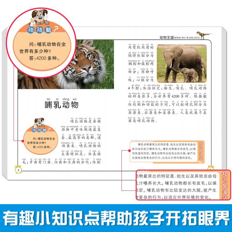 [醉染正版]儿童少儿百科全书大百科全套8册认知启蒙科普读物小学生6-12岁课外阅读彩图注音动物王国典故军事民俗文化自然宇图片