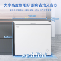 澳柯玛 BC/BD-235HNE 家用冰柜冷柜冷藏冷冻顶开两用一级能效冰箱
