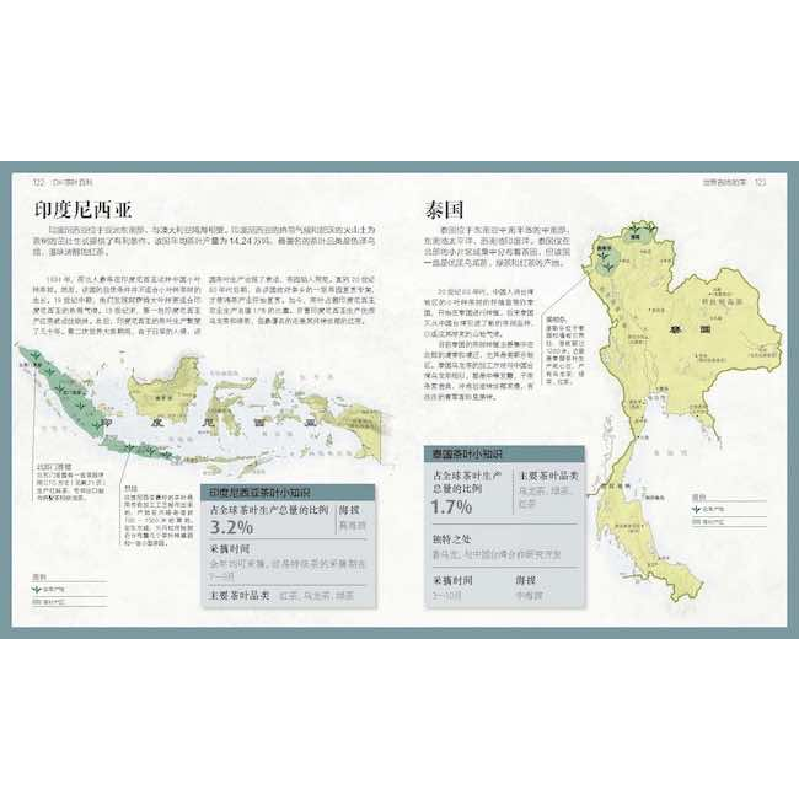 诺森DK茶叶百科(加)琳达·盖拉德著9787110105047科学普及出版社高清大图