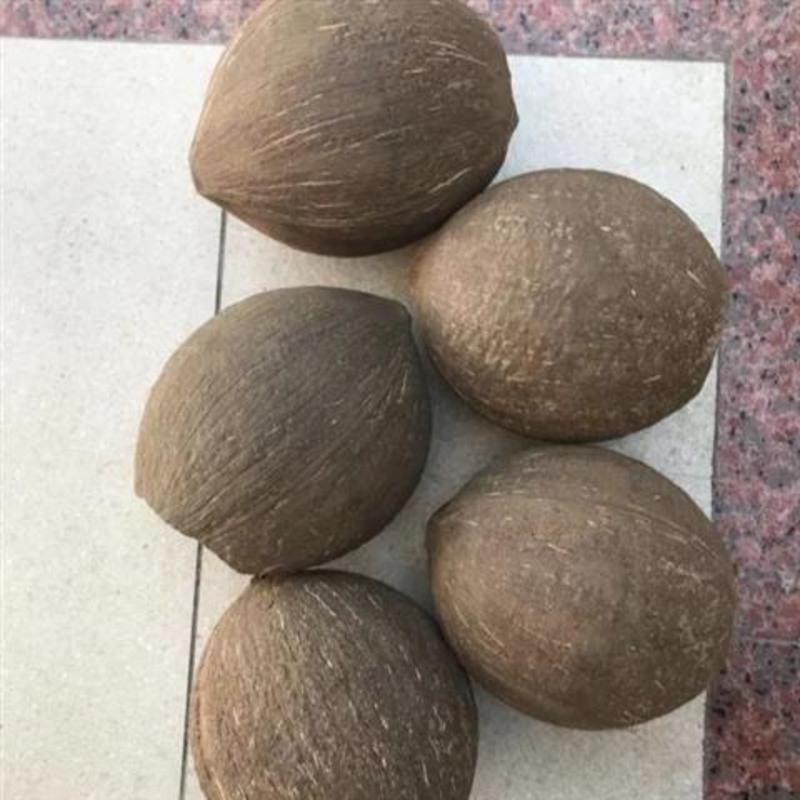 5cm 天然椰子壳豫剧板胡秦腔乐器椰壳原料产地直销天然椰子壳专用包