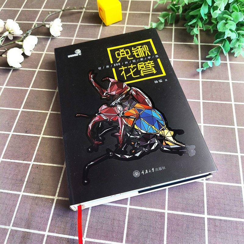 ❤常见蝴蝶野外识别手册 [正版]科普书籍好奇心书系野外识别手册常见爬行动物兜锹花臂蜚蠊蜘蛛蘑菇蜗牛蝴蝶昆虫蜻蜓琥珀天体云高清大图