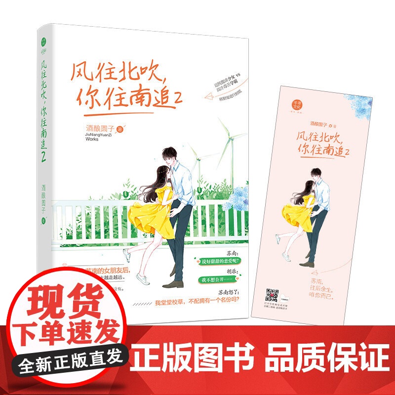 ?风往北吹,你往南追2 酒酿圆子著 现代都市青春校园青梅竹马爆笑甜宠青春文学小说 第二部 千寻文化高清大图