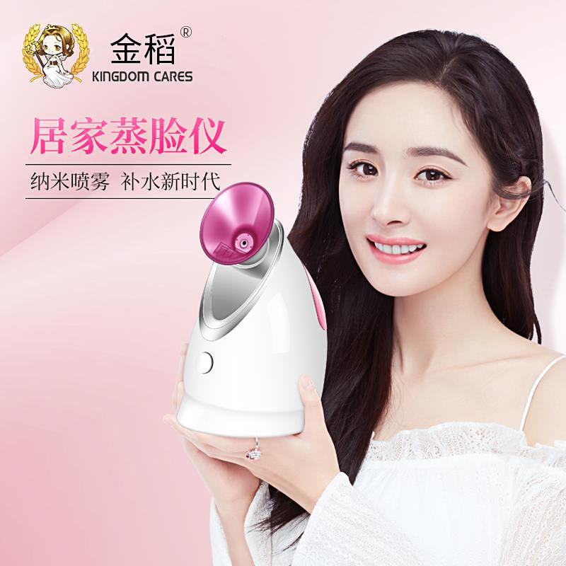 金稻( KINGDOMCARES)加湿器香薰补水器 KD2331A 纳米离子雾 陶瓷发热片 热喷 美容仪