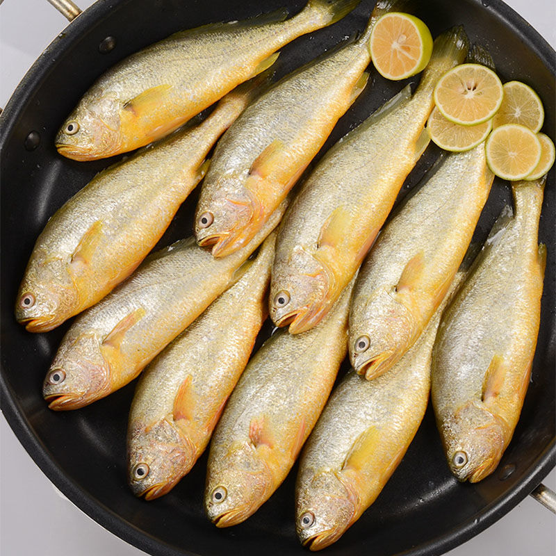 【鲜小黄花鱼】报价行情_排行_品牌_参数_怎么样_图片_商家-苏宁易购