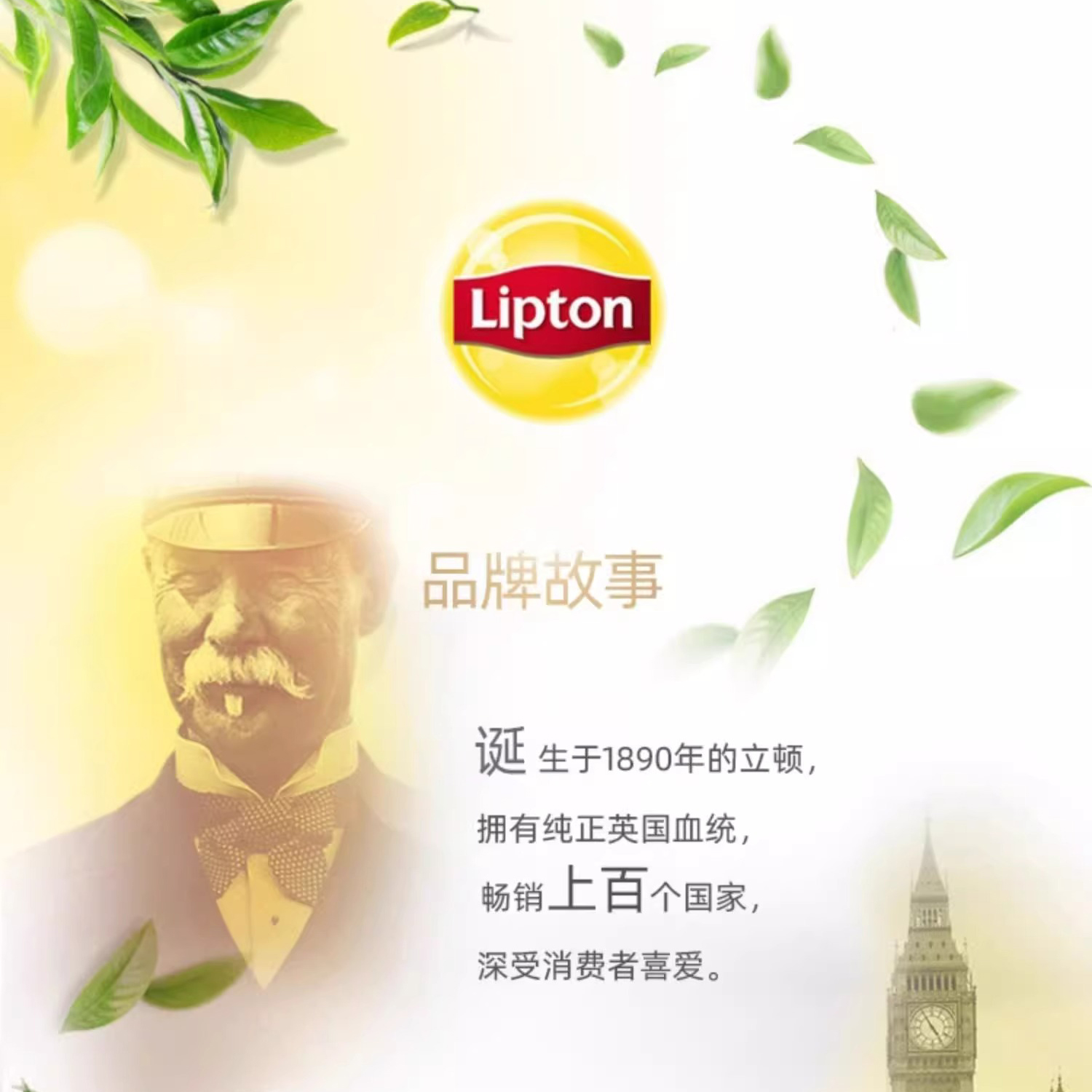 立顿 绿茶叶奶茶原料黄牌泡茶包2g*100包高清大图