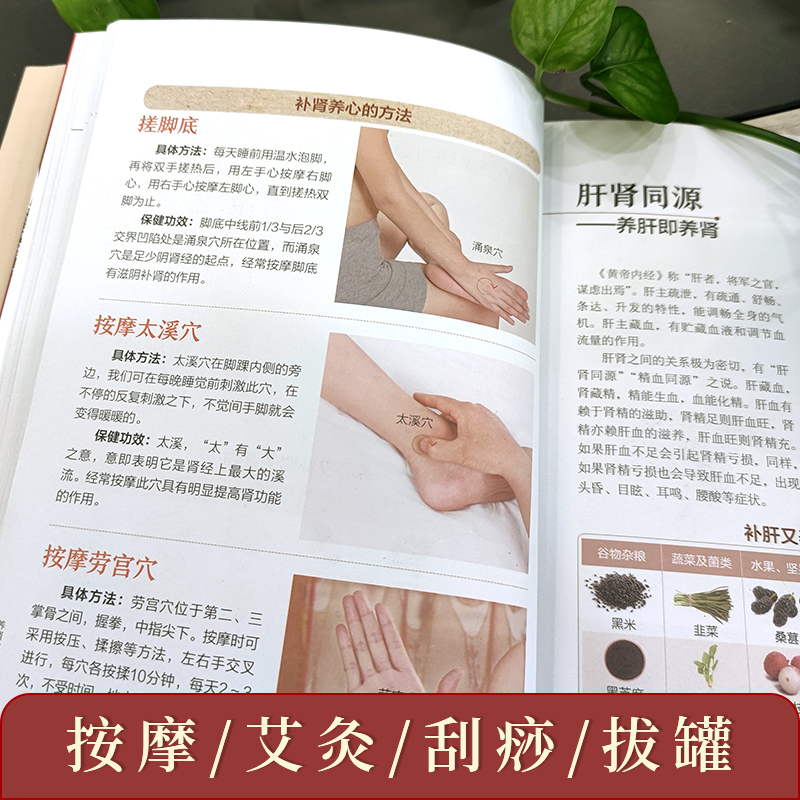[醉染正版]养肾就是养命 全新升级版 章友康 深入浅出地讲解养肾的原理及肾的保养方法 健康养生养肾保健书籍合理养肾健康长高清大图