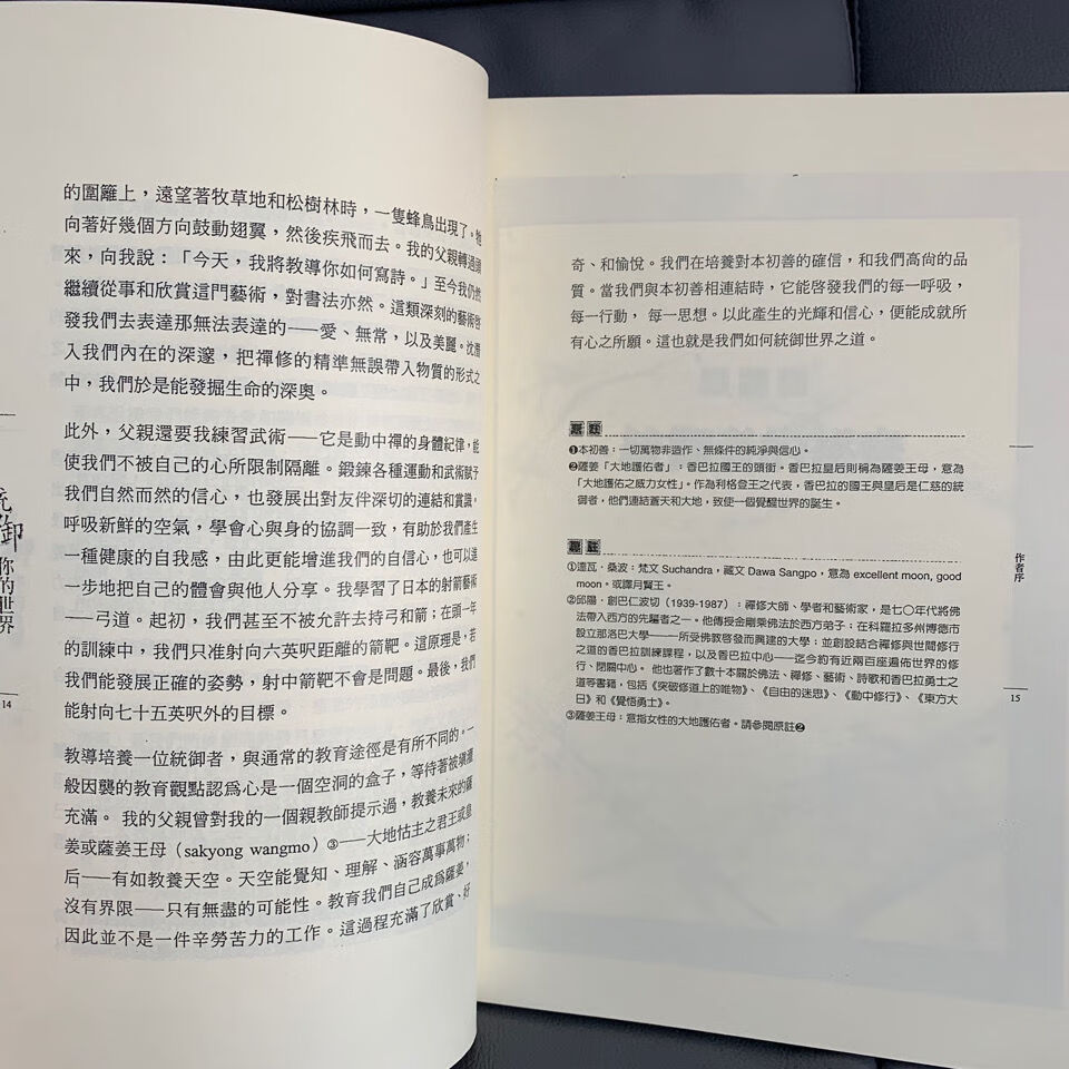 《统御你的世界》 适合现代生活的修心六法 佛学文化书籍高清大图