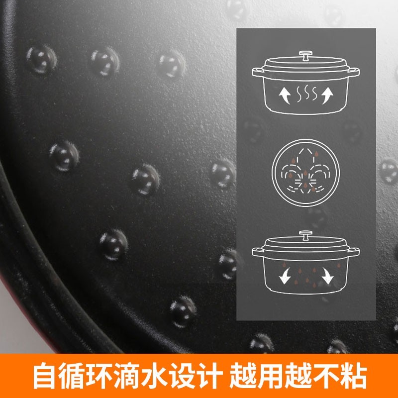 九阳铸铁珐琅锅F24T-F21 铸铁珐琅锅铸铁锅炖锅煲汤锅多功能锅砂锅适家用汤锅蒸锅不粘锅 铸铁珐琅锅-红色 24cm高清大图