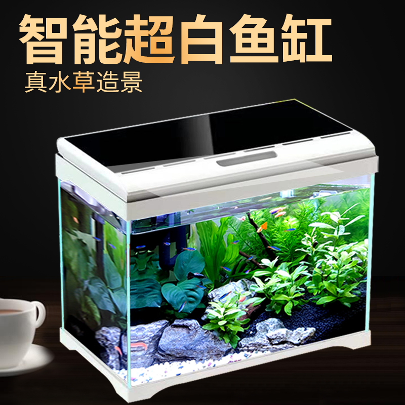 免换水生态鱼缸超白玻璃热带小鱼缸 客厅小型家用智能水族箱高清大图
