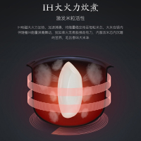格力大松(TOSOT)迷你电饭煲GDCF-2008C金康煲格力IH立体加热2-3-4人小型饭锅2智能WIFI糙米发芽饭