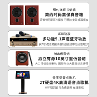 奔腾(BNTN)蓝牙功放2.1套装家庭影院KTV音响家用客厅电视音箱K歌卡拉OK组合音箱 2TB智能语音点歌机套装