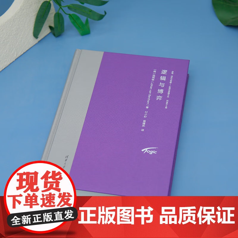 逻辑与博弈 范丙申 著 励志与成功高清大图