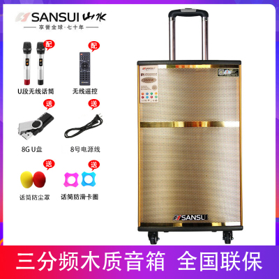 山水(SANSUI) SG2-12 户外拉杆音箱 广场舞音响 蓝牙U盘便携音响 蓄电池音箱扩音器音响低音炮音箱
