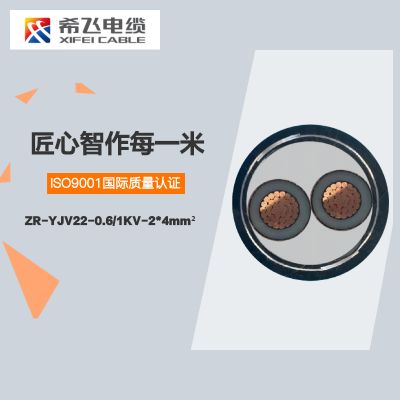 希飞牌 ZR-YJV22-0.6/1KV-2*4mm² 钢带铠装铜芯阻燃低压电缆 元/米 联系客服 定制商品 黑色 ZR-YJV22-0.6/1KV-2*4mm²