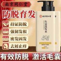 [3瓶装]南京同仁堂生姜洗发水防脱发增发育发固发控油蓬松去屑止痒洗发露