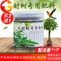 发财树专用肥料幸福树肥料营养液盆栽土壤肥治黄叶枯萎有机复合肥