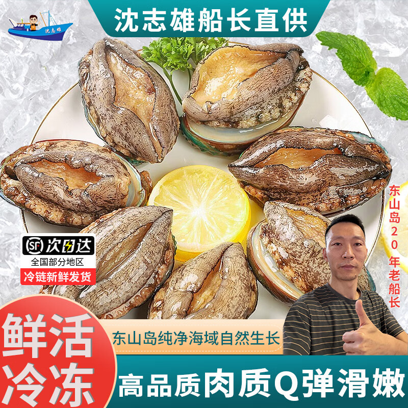 沈志雄船长 东山岛海鲜鲜活速冻大鲍鱼8头鲍16只共2斤火锅海鲜礼包年货
