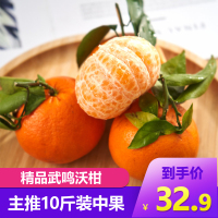 苗家十八洞 广西武鸣沃柑10斤装（带箱） 单果径60-65mm 时令生鲜水果柑橘坏果包赔