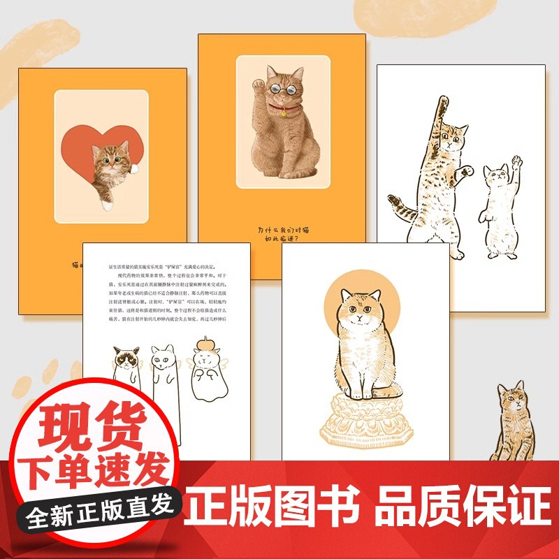[央视网]总有一天会养猫正版书籍 斑斑著 献给所有人的猫生答案之书 动物百科全书十万个为什么 脑洞大开的有趣硬核科普读物高清大图