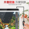 鱼缸加热棒自动恒温高精度水族箱乌龟缸加温棒小型鱼缸加热器