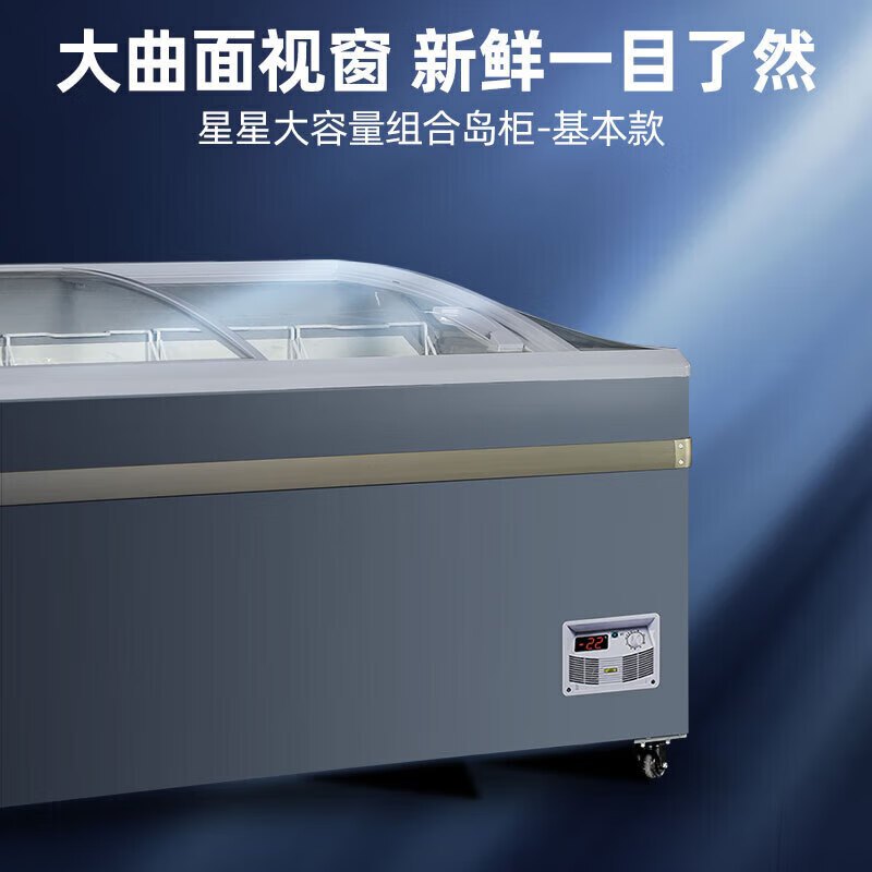 星星(XINGX) 600升 雪糕饮料柜 冰柜商用展示柜 冷藏冷冻转换 卧式展示柜 雪糕柜大容量 SD/SC-609BY