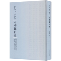 中华银行史(精)/专题史丛书