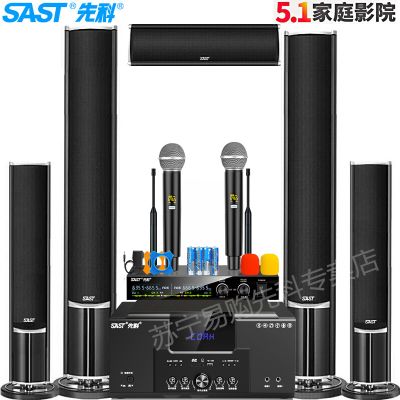 先科（SAST）A16家庭影院5.1家用音响套装电视音响环绕声卡拉OK蓝牙音箱家用同轴光纤（标配+无线麦克风套装）