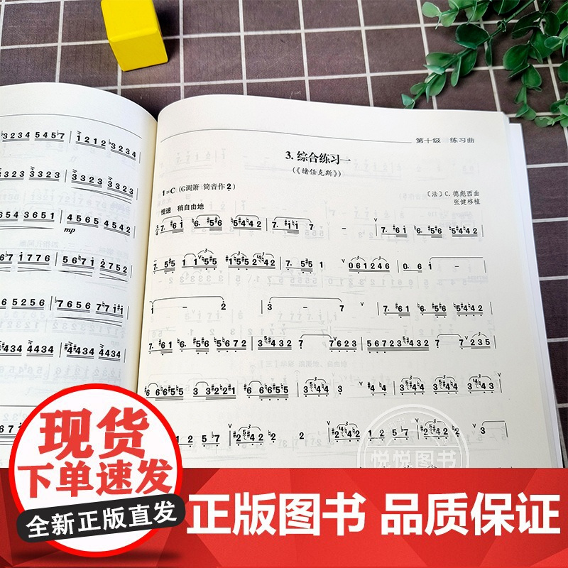套装2册 箫考级教程1-10级 中国民族管弦乐学会 社会艺术水平考级教程丛书箫考级教材曲集洞箫考试教辅民族乐器自学零基础