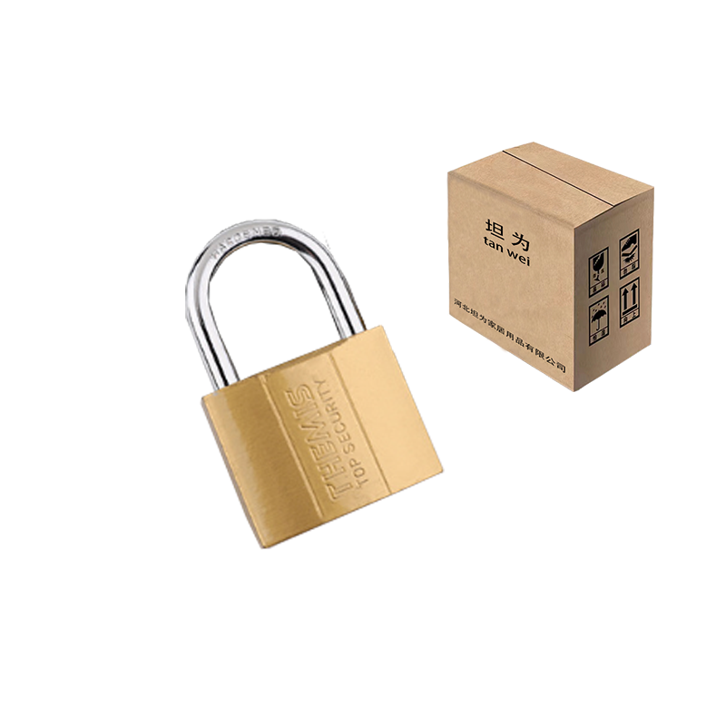 锁挂锁铁锁小挂锁单开锁 20mm 把高清大图