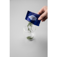 [2025年新茶]天方茶叶 雾里青24g 明前特级芽茶 绿茶头采嫩芽 高山茶叶