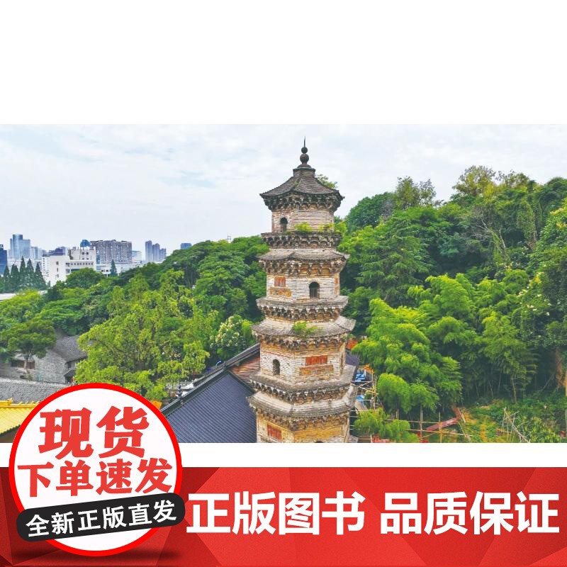 说著芜湖数风流 胡传志;沈世培 编 地域文化 群众文化社科 正版图书籍 安徽师范大学出版社高清大图