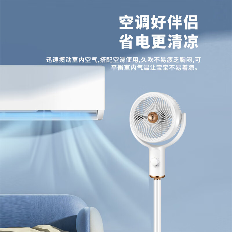 长虹(CHANGHONG)CFS-LD1929 机械8字摇头循环扇高清大图