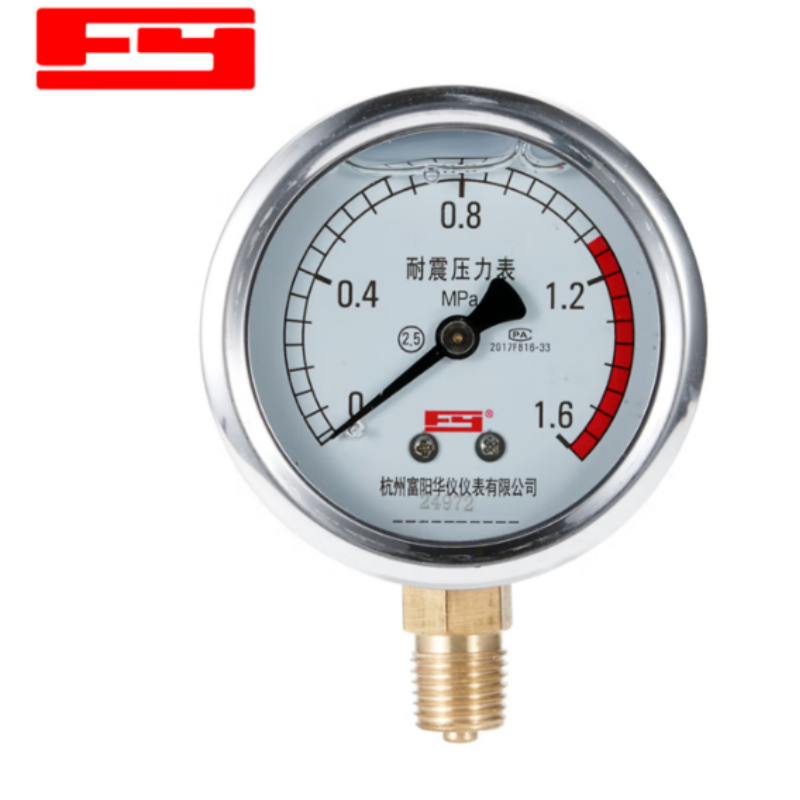 富阳(FY)华仪仪表 YTN-60 0~10MPa耐震压力表
