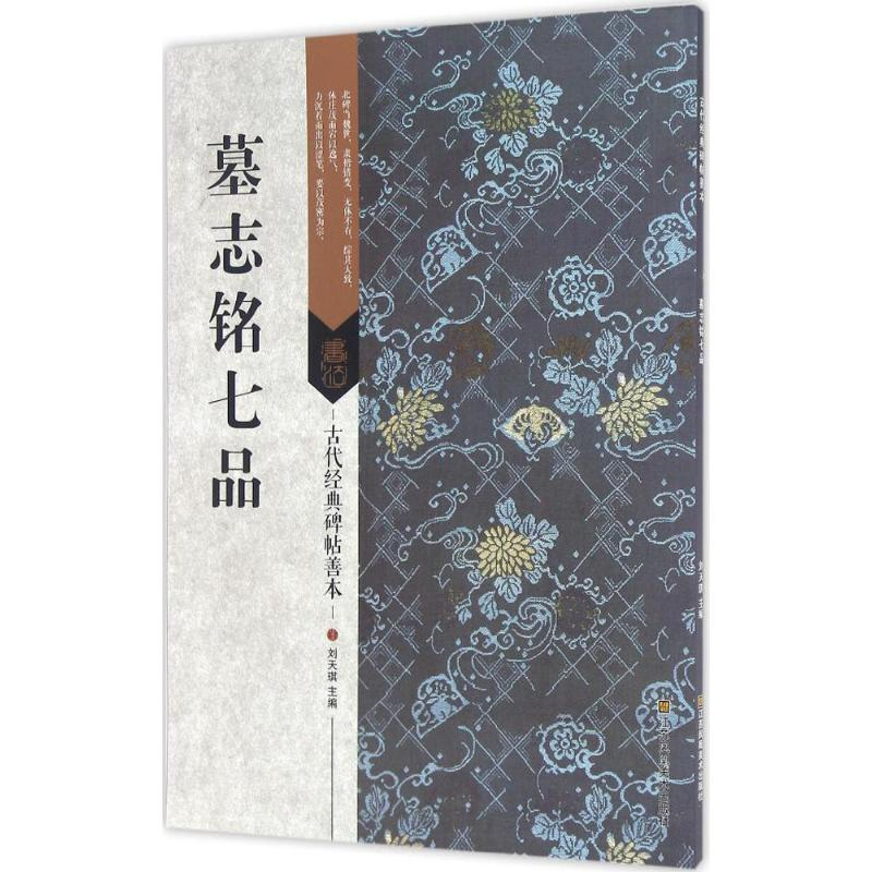 音像墓志铭七品刘天琪 主编