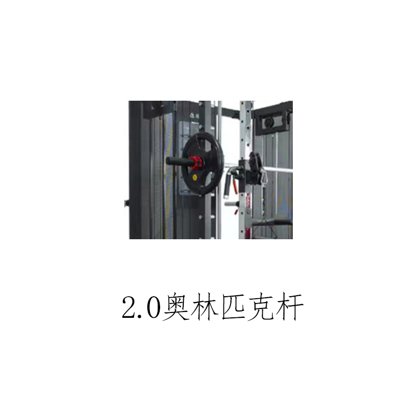 迈特森史密斯机(轻商用)GM6106高清大图