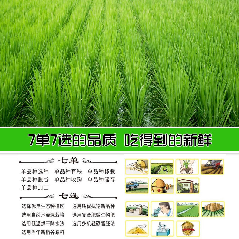 七河源越光贡米5kg(寿司米)高清大图