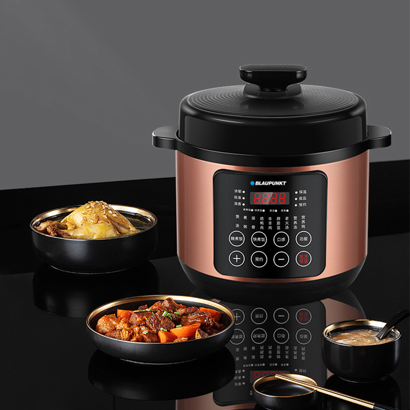 德国蓝宝电压力锅5L双胆LB-21D100A11高清大图
