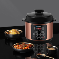 德国蓝宝电压力锅5L双胆LB-21D100A11
