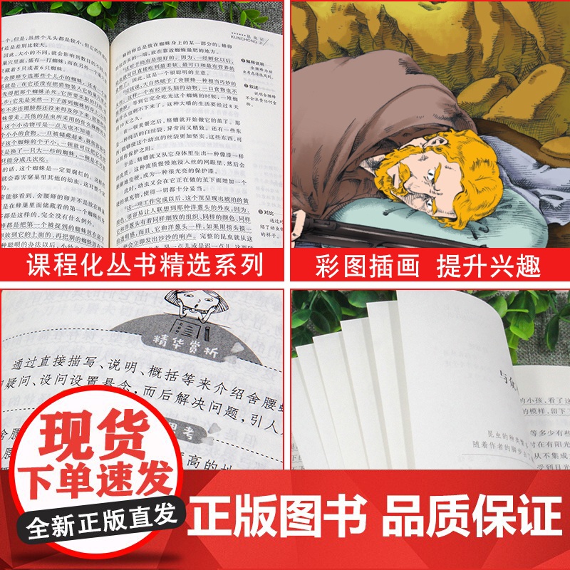 爱阅读快乐读书吧3-6下鲁滨逊漂流记汤姆索亚历险记尼尔斯骑鹅旅行记爱丽丝漫游奇境记 林海雪原人文版小学六年级下册语文名著高清大图