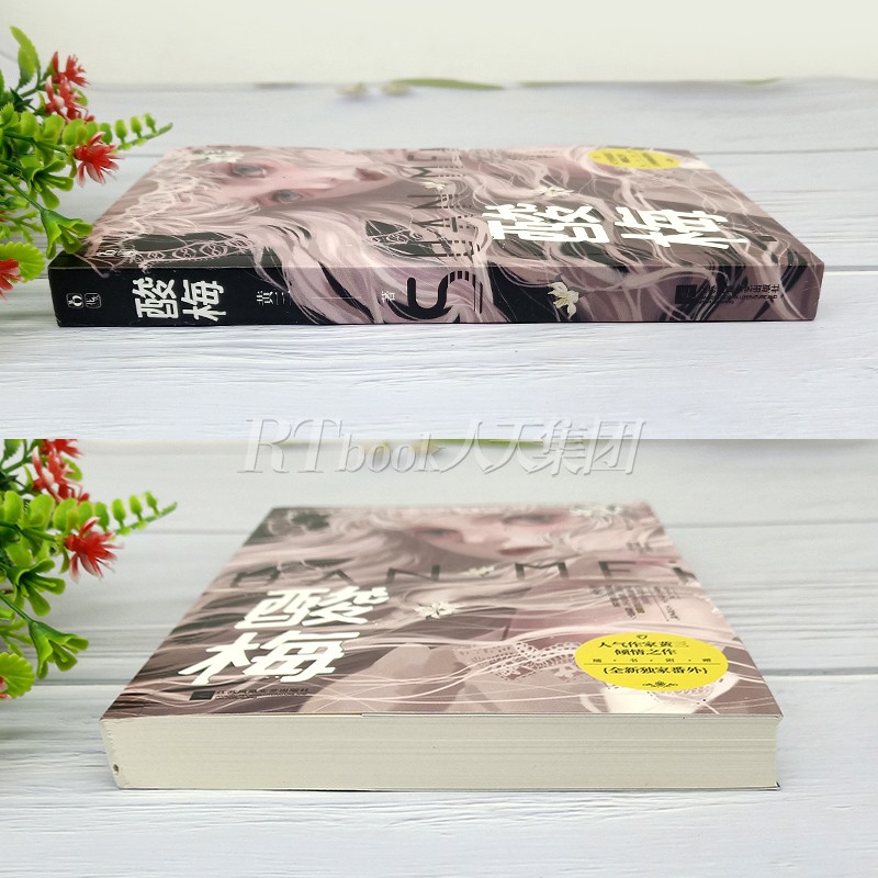 [正版]随机印签版酸梅小说 酸梅实体书 痛仰作者黄三关于十八岁校园成长青春文学爱情小说 酸梅书 赠江挽月三折页+摄影册高清大图
