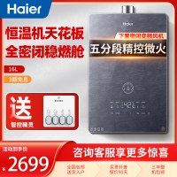 Haier/海尔燃气热水器16升家用天然气水伺服恒温 密闭稳燃舱 五重净水洗 手机WIFI控制 JSQ31-16FA05