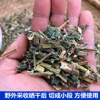 新货大别山区野生鬼针干鬼针野生三叶鬼针鬼针500克