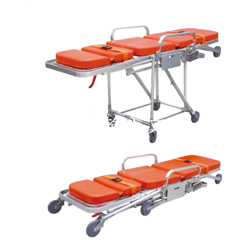 东方能展 折叠高清大图