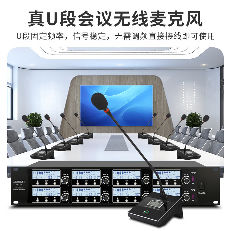 狮乐(SHILE)专业会议室音响套装音箱功放调音台麦克风组合AV-2011D+BM-8音箱1对+天琴十号+SH-21高清大图