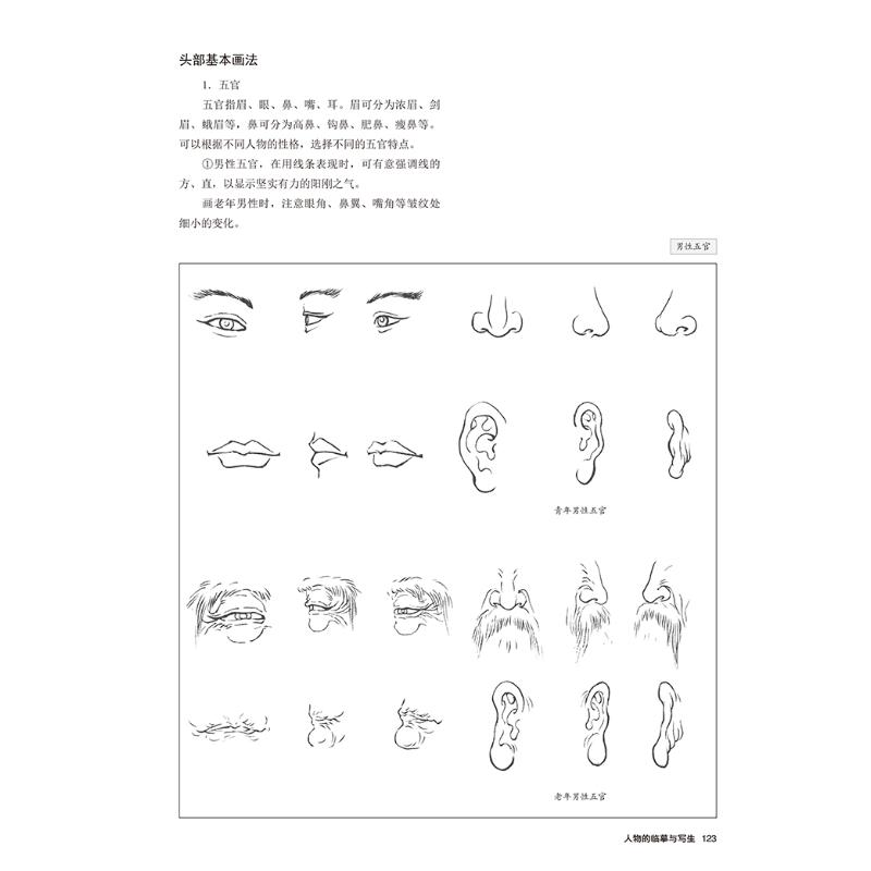 醉染图书中国画白描基础(第3版)9787558624087高清大图