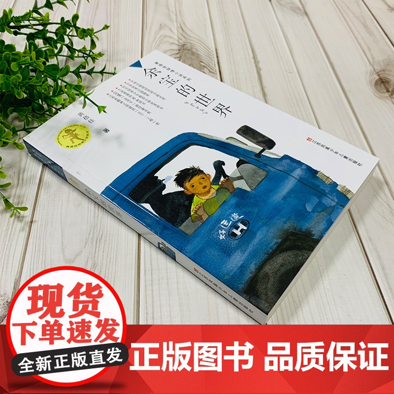 余宝的世界 正版黄蓓佳倾情小说,一部关注城市外来家庭孩子成长状态的作品高清大图
