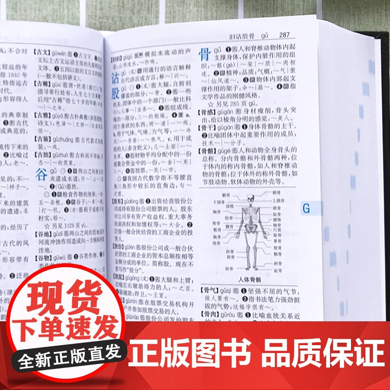 [新编]现代汉语词典正版新编现代汉语小字典1-6年级小学初中高中全国通用现代汉语多功能字典新版 新华字典新版本学生字典工高清大图