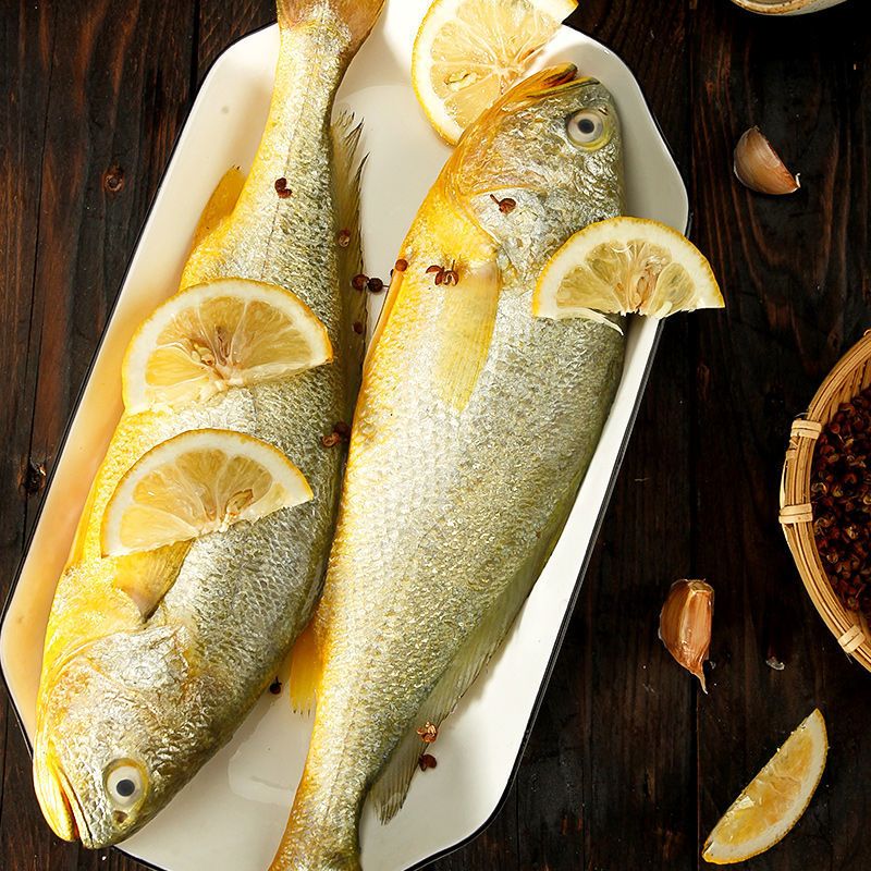 赛卡伊东海大黄花鱼鲜活冷冻大黄鱼海鲜水产批发海鱼黄鱼野生大黄花鱼