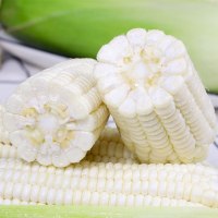 【中华特色】苗家十八洞 湘西本地白糯玉米10斤装 约300-600克/穗 时令新鲜蔬菜