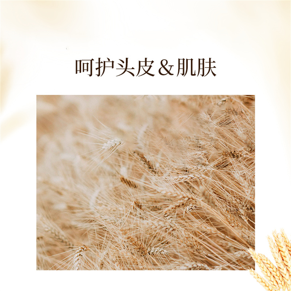 浅香 米酿氨基酸洗发乳 +米酿氨基酸沐浴露+米酿氨基酸顺滑乳750g+750g+700g高清大图